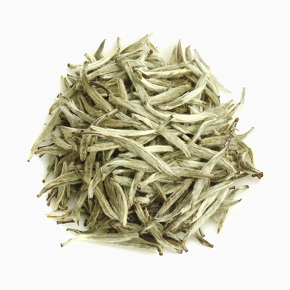 Spring 2024 Fujian Tailao Mountain Premium Baihao Yinzhen White Tea